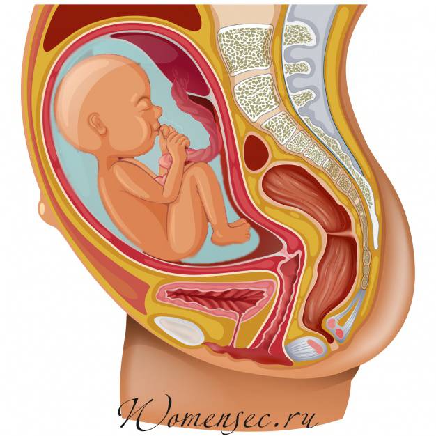 Околоплодные воды норма. Околоплодные воды при беременности: общая информация, норма и патологии